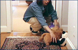 Graphic showing a woman picking up toys from the floor