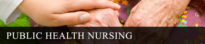 Public Health Nursing