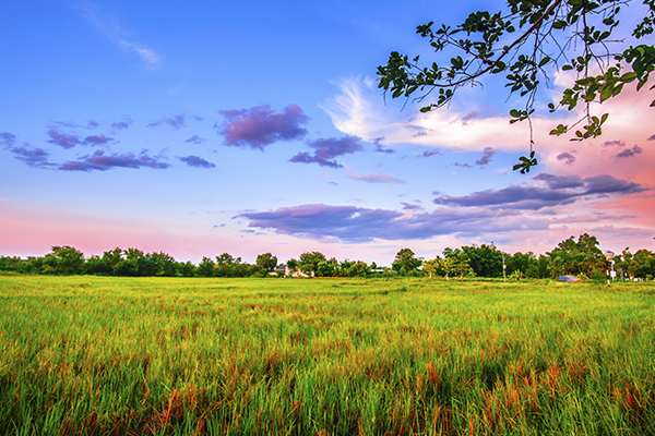 an open field under a mostly clear sky