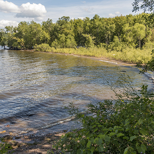 a beach at a river